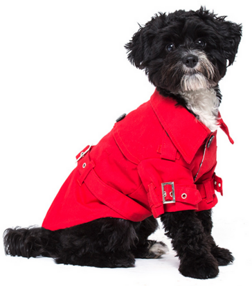 Hondenjas Vibrant Red Trench Coat L 35 cm