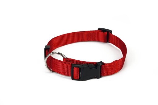 Beeztees nylon halsband rood 30 - 45 cm x 15 mm