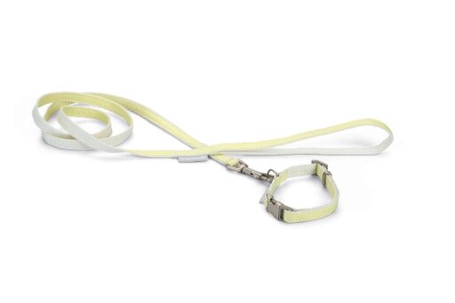 Beeztees puppy set halsband met lijn Jicca geel