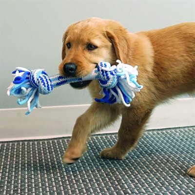 KONG Rope Stick Puppy 29 cm