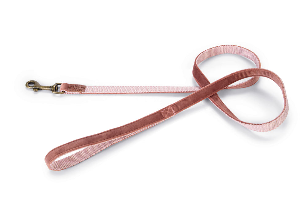 Fluwelen Hondenriemen