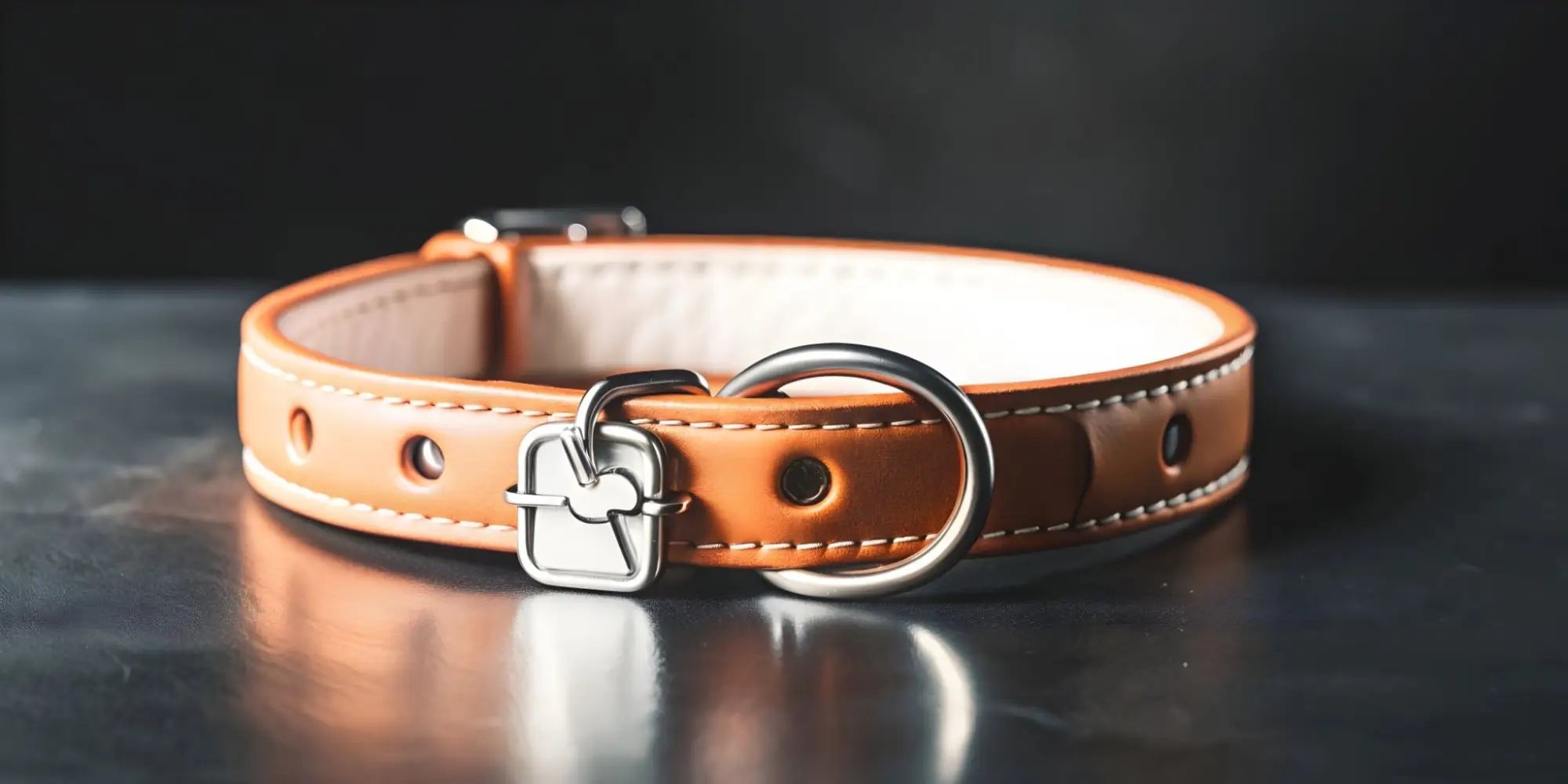 Halsbandjes voor Puppy’s en Chihuahua’s