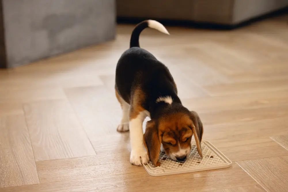 Hondenspeelgoed Likmatten