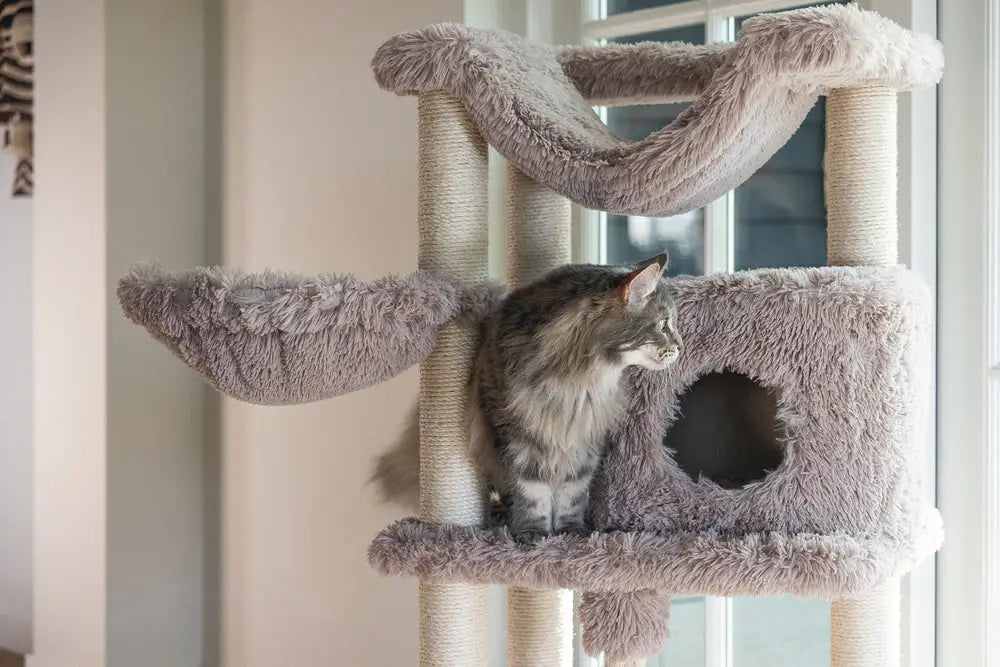 Middelgrote en Grote Krabpalen