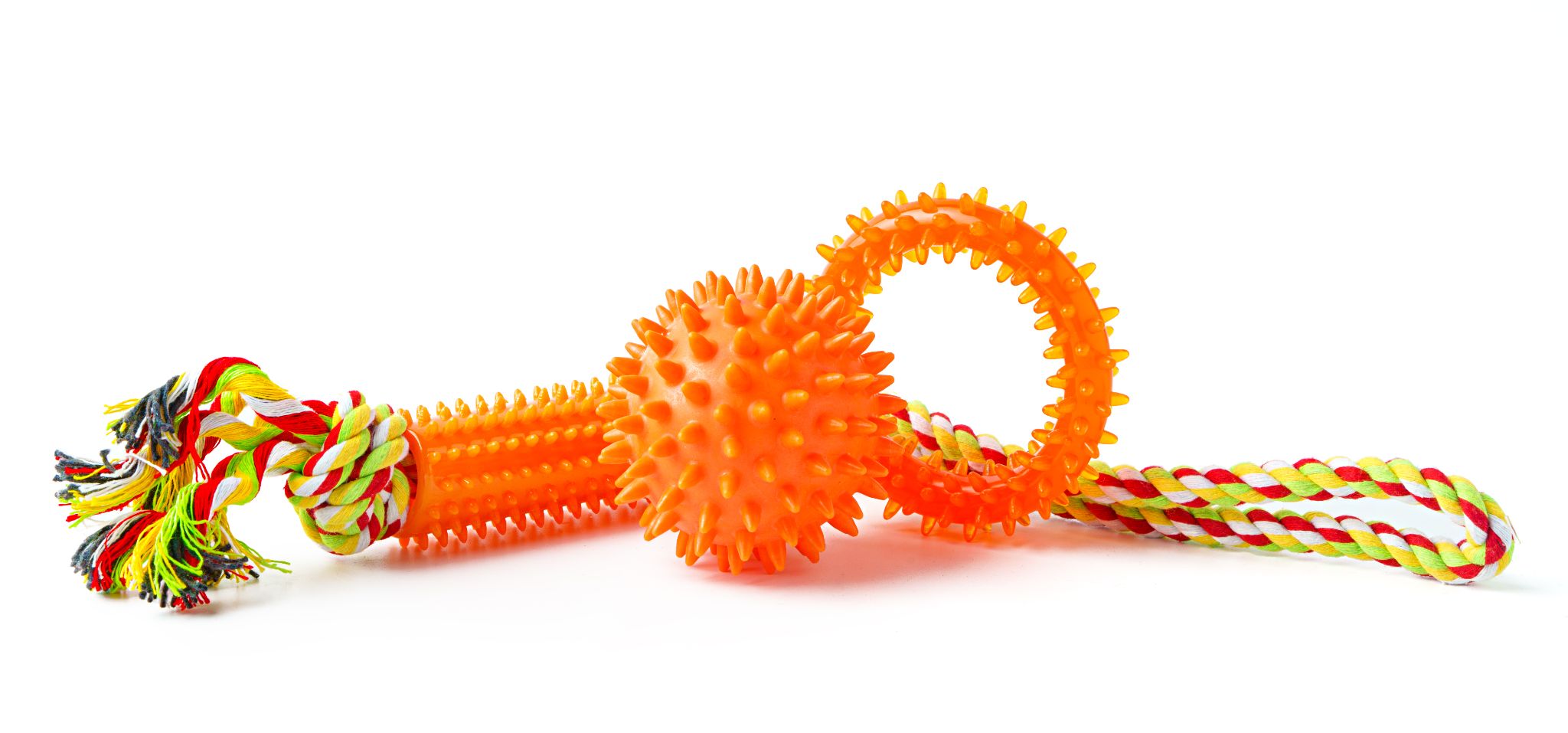 TPRRubber Puppy Speelgoed