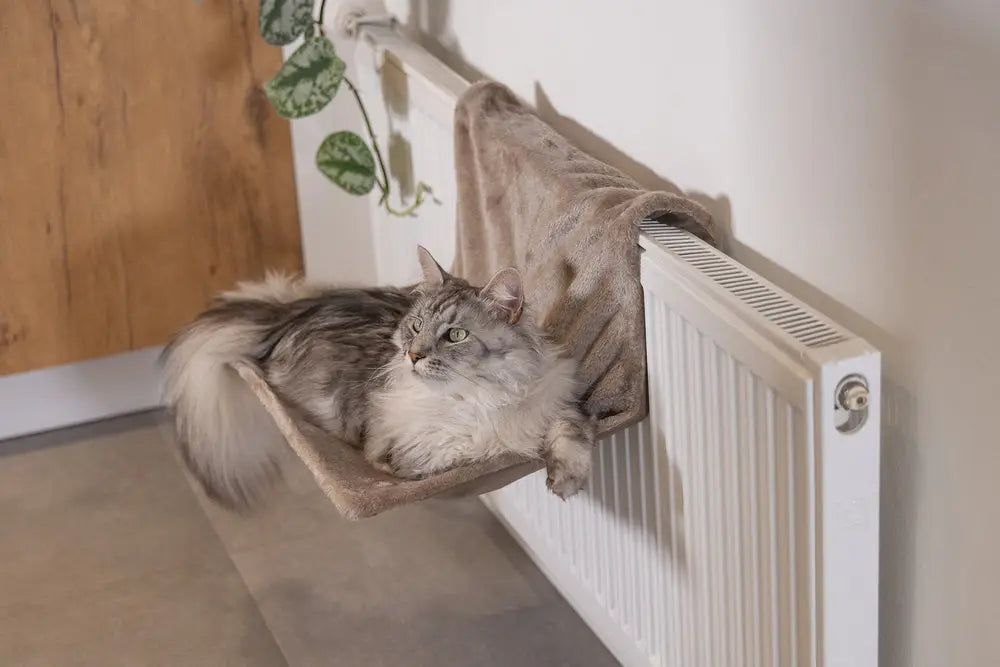 Radiator kattenmand kopen