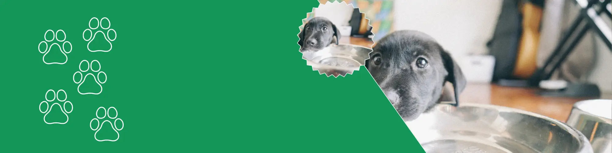 RVS honden voerbak en drinkbak