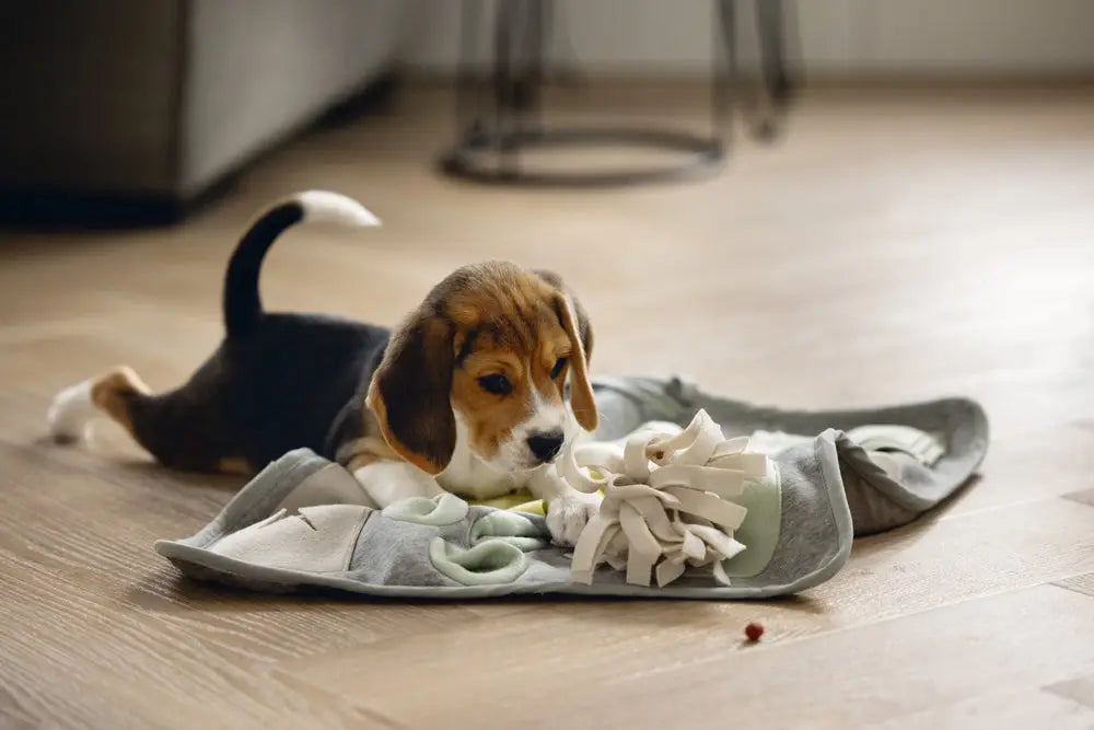 Snuffel Hondenspeelgoed