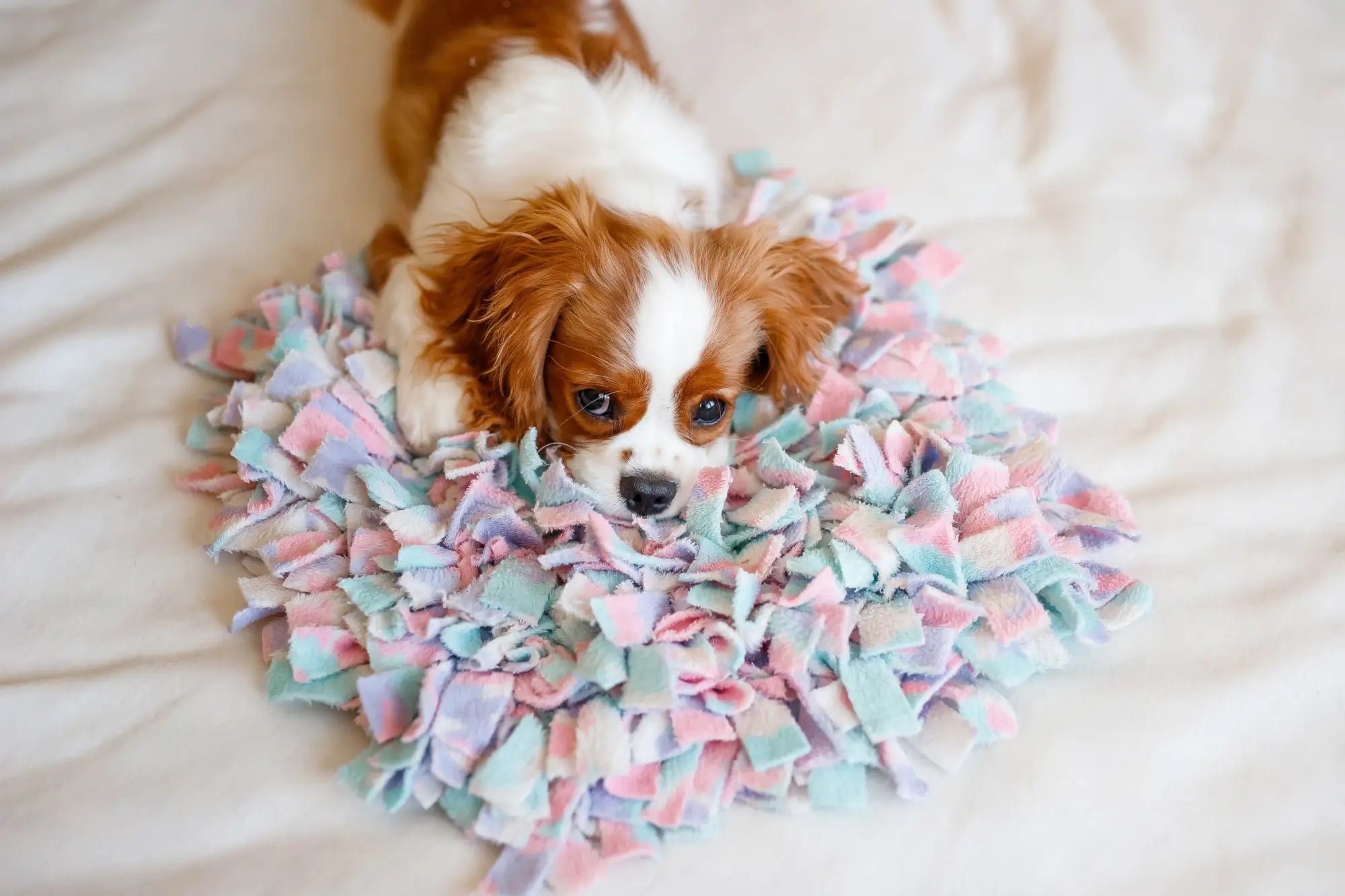 Snuffel Hondenspeelgoed