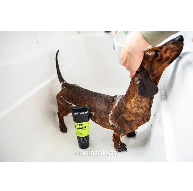 Deep Clean Shampoo 250 ml