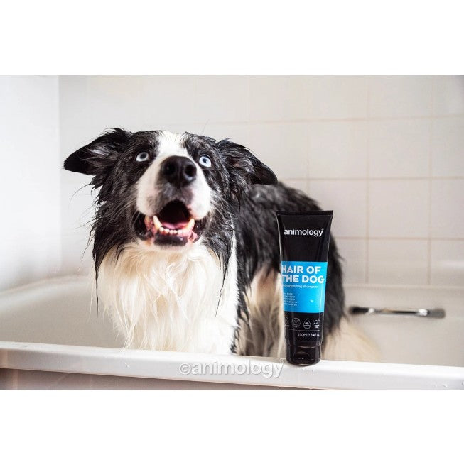 Hair of The Dog Shampoo 250 ml