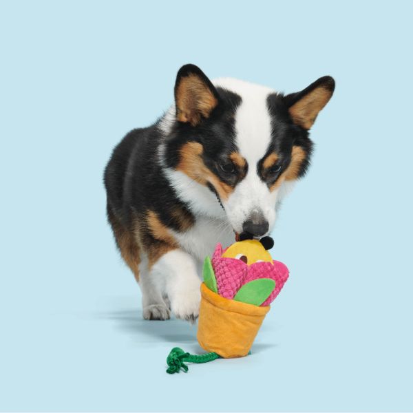 Beeztees Hundespielzeug Yari Bone 18 cm