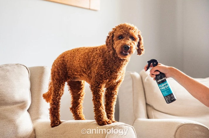 Puppy Fresh Deodorising Puppy Spray 250 ml