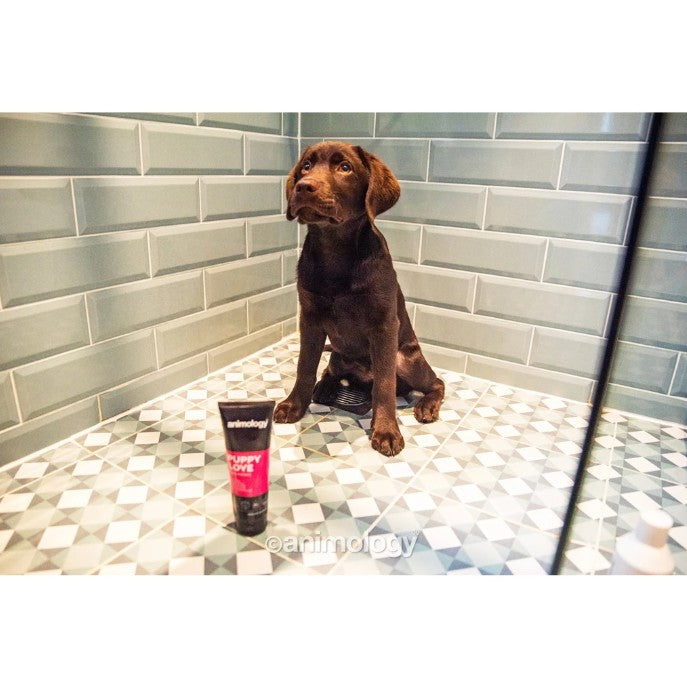 Puppy Love Puppy Shampoo 250 ml