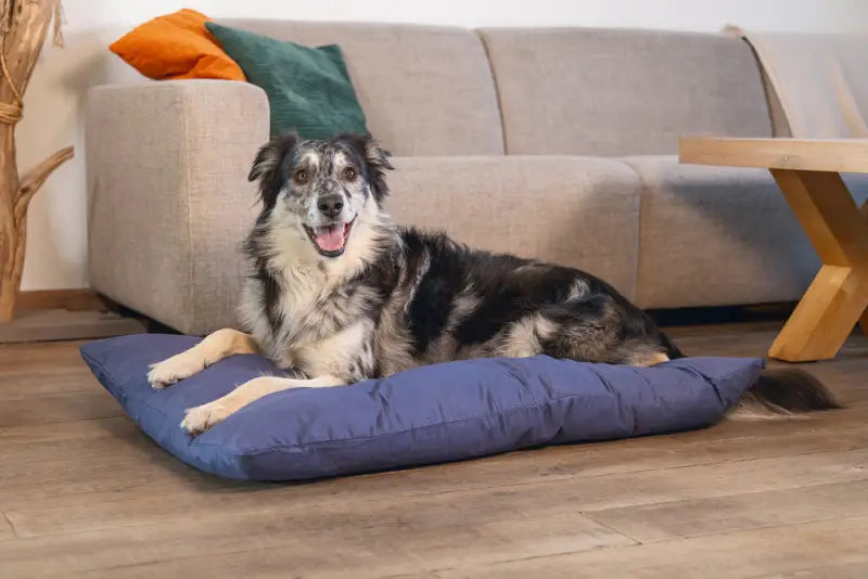 Beeztees Honden Lounge Kussen Sofix 100x70x15 cm — Blauw