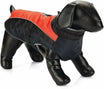 Beeztees Hondenjas Saby rood/zwart — Ruglengte 24 cm