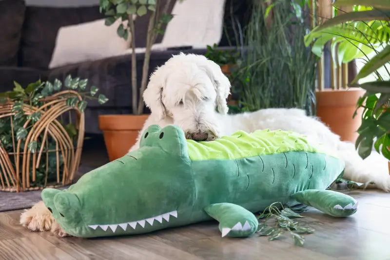 Beeztees Hondenspeelgoed Hide N Seek Jungle Krokodil 84 cm