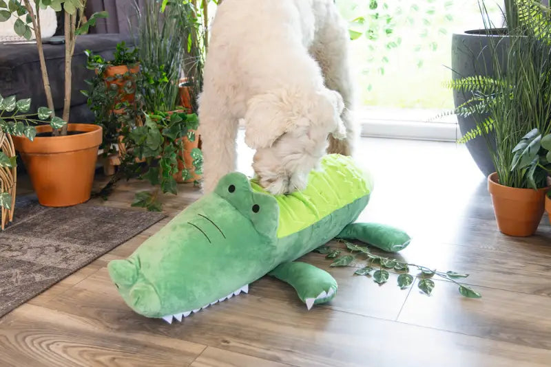 Beeztees Hondenspeelgoed Hide N Seek Jungle Krokodil 84 cm