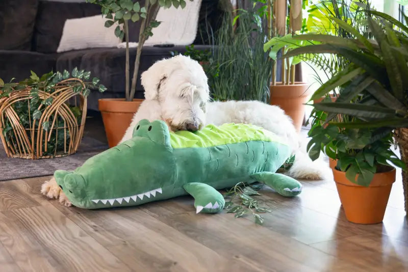 Beeztees Hondenspeelgoed Hide N Seek Jungle Krokodil 84 cm