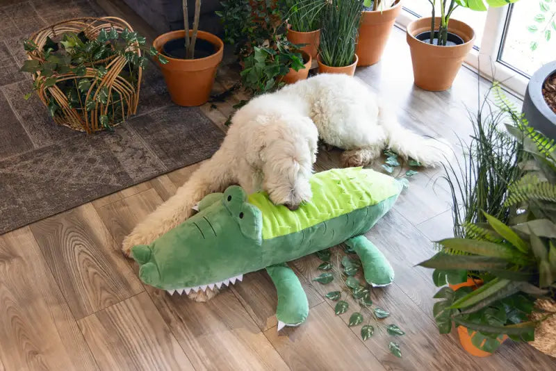 Beeztees Hondenspeelgoed Hide N Seek Jungle Krokodil 84 cm