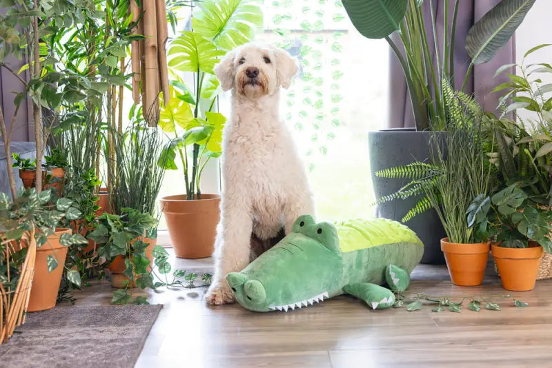 Beeztees Hondenspeelgoed Hide N Seek Jungle Krokodil 84 cm