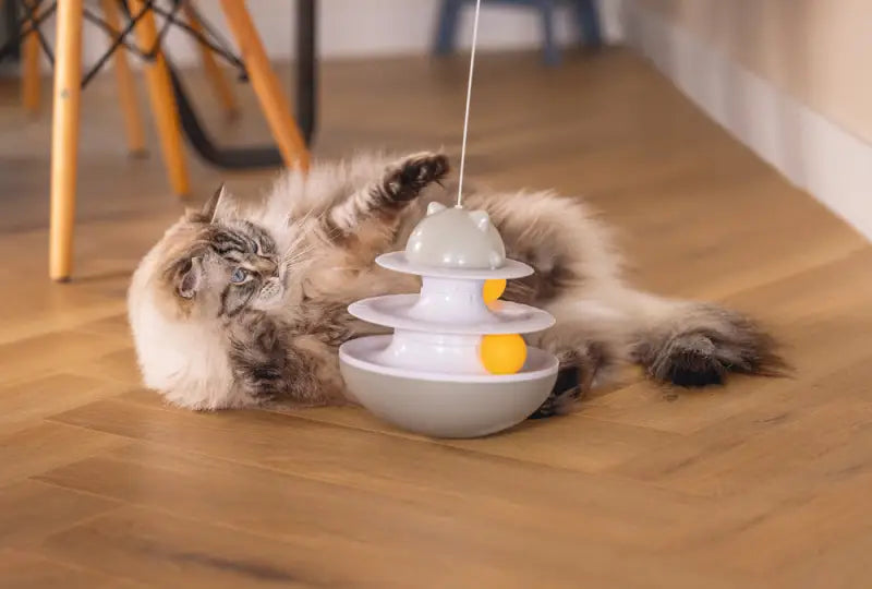 Beeztees Kattenspeelgoed Interactief Sapi