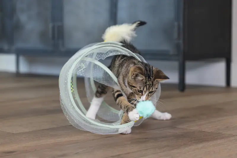 Beeztees Kitten Speelspiraal Gabi