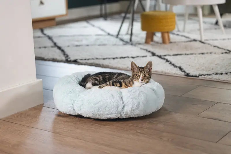 Beeztees Kittenmand Maui — Blauw - BEDDEN/MANDEN/KUSSENS
