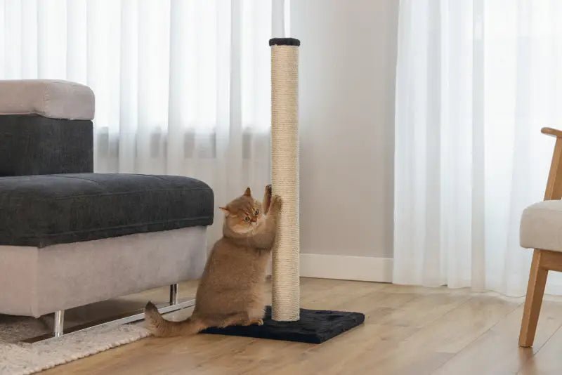 Beeztees Krabpaal Gina XL 40x40x90 cm — Zwart - Krabpaal