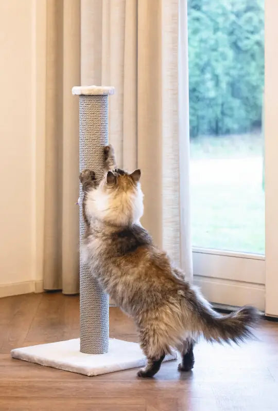 Beeztees Krabpaal Serpa XL 90 cm — Grijs - Krabpaal