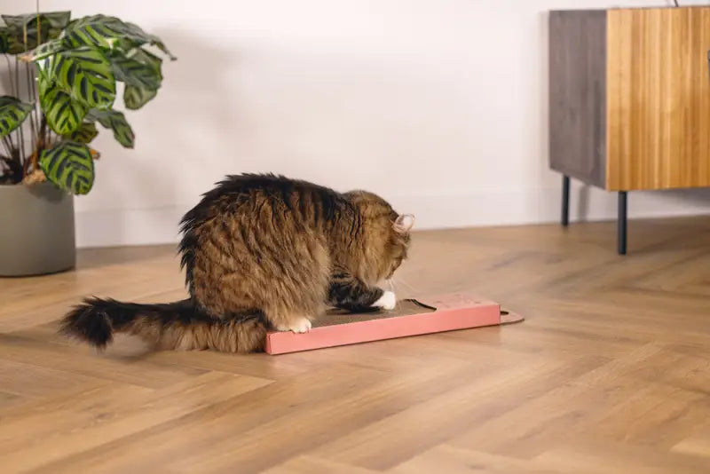 Beeztees Krabplank Luipaard 45x13x2 cm — Roze - Krabplank