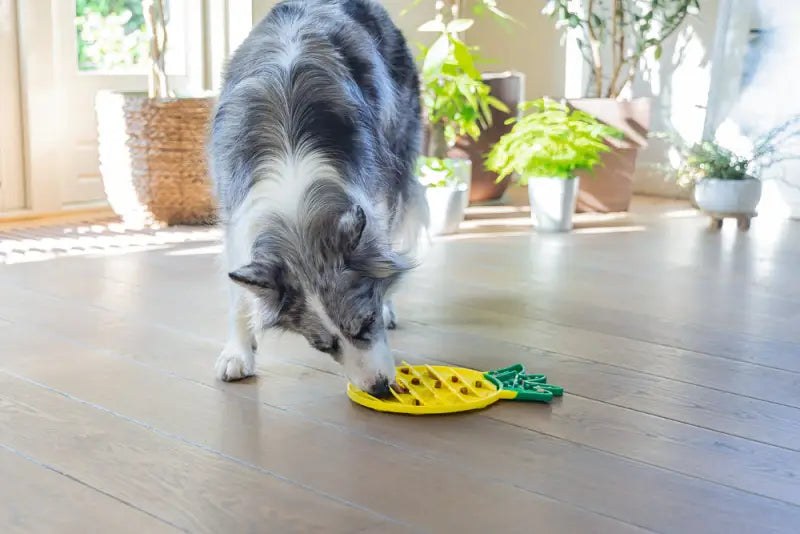 Beeztees Likmat Ananas geel 30x20x3 cm