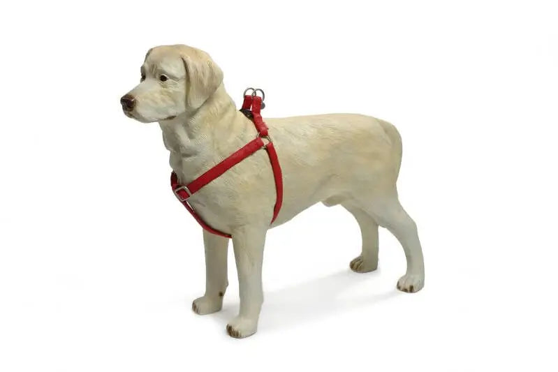 Beeztees Mac Leather Hondentuig 60-100 cm — Rood