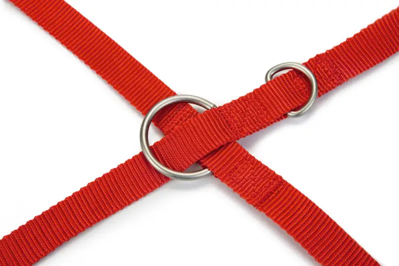Beeztees nylon Dressuurlijn Uni — Rood - HALSBANDEN/LIJNEN NYLON