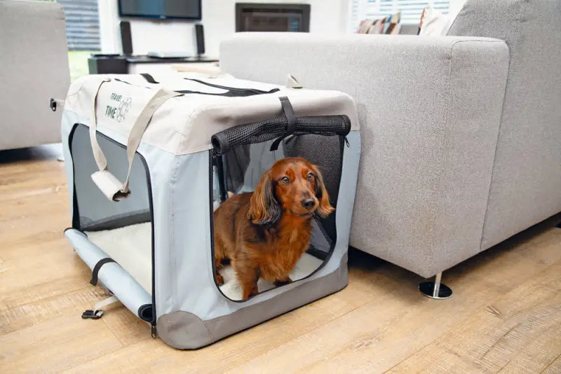 Beeztees Nylon Hondenbench Travel Time 70x52x52 cm — Lichtblauw - VERVOERSBOX