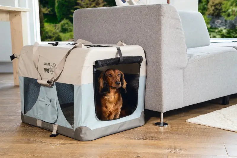 Beeztees Nylon Hondenbench Travel Time 81x58x58 cm — Lichtblauw - VERVOERSBOX