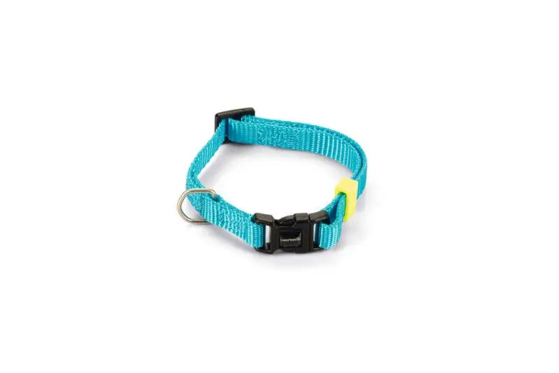 Beeztees nylon Hondenhalsband Uni lichtblauw 20-30x10