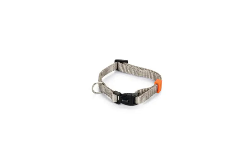 Beeztees nylon Hondenhalsband Uni — Lichtgrijs - 20-30 cm x 10 mm - HALSBANDEN/LIJNEN NYLON