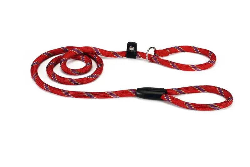Beeztees Nylon Hondenriem Sliplijn rood 170x13 mm — 170 cm x 13 mm