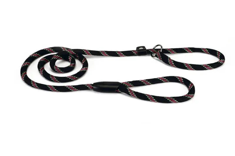 Beeztees Nylon Hondenriem Sliplijn zwart 170x13 mm — 170 cm x 13 mm