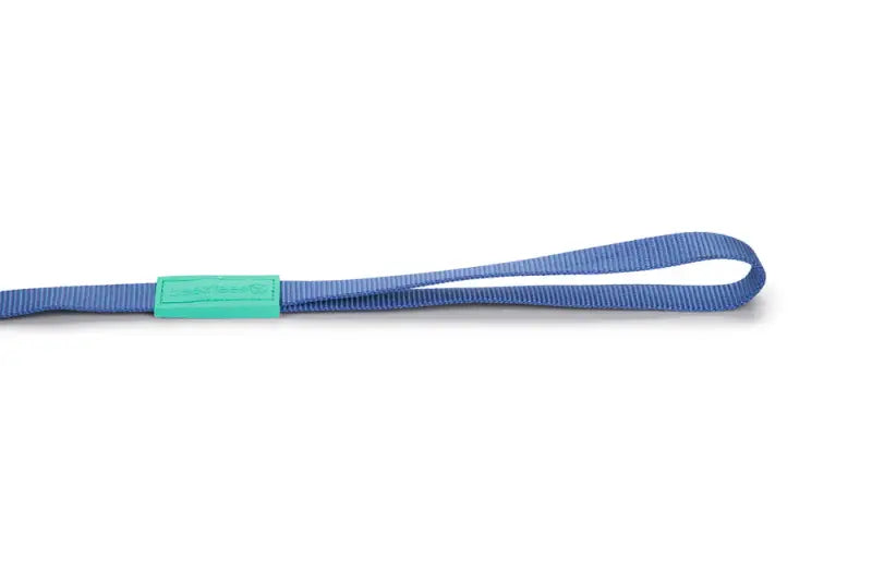 Beeztees nylon Hondenriem Uni — Blauw - HALSBANDEN/LIJNEN NYLON