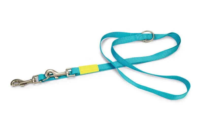 Beeztees nylon Hondenriem Uni lichtblauw 200x20 — 200 cm x 20 mm