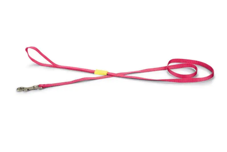 Beeztees nylon Hondenriem Uni roze 120x10 — 120 cm x 10 mm