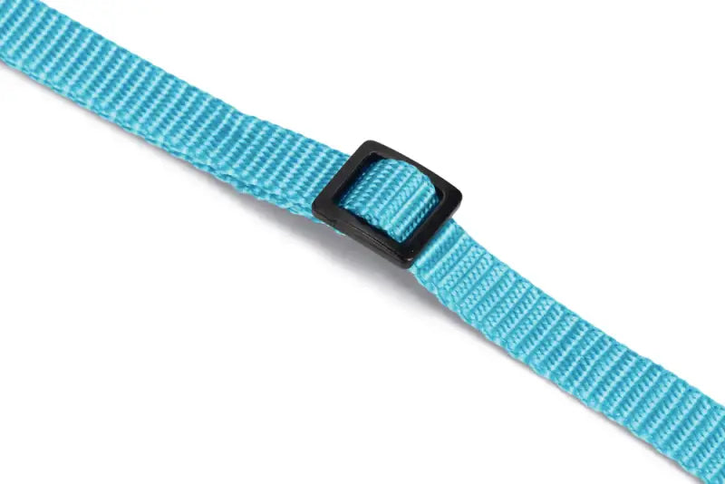 Beeztees nylon Kattenhalsbandje Uni — Lichtblauw - HALSBANDEN/LIJNEN NYLON
