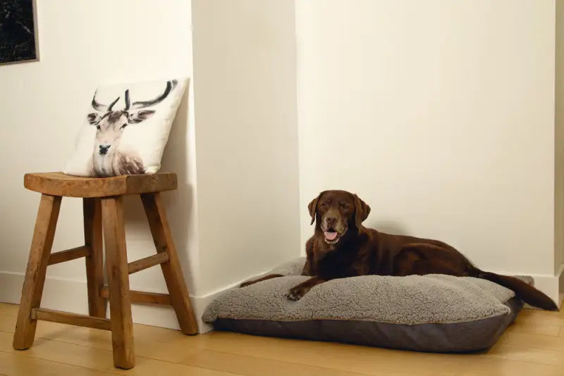 Beeztees Orthopedisch Hondenkussen Ruba 100x70 cm — Grijs