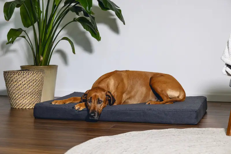 Beeztees Orthopedisch Hondenkussen Zira 120x80x10 cm — Grijs