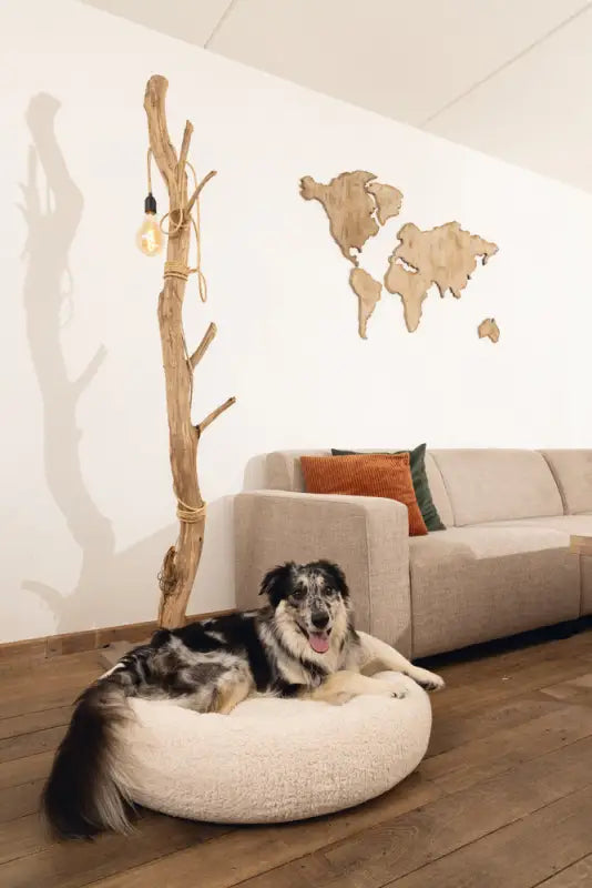 Beeztees Orthopedische Hondenmand Jaxx 60 cm — Beige