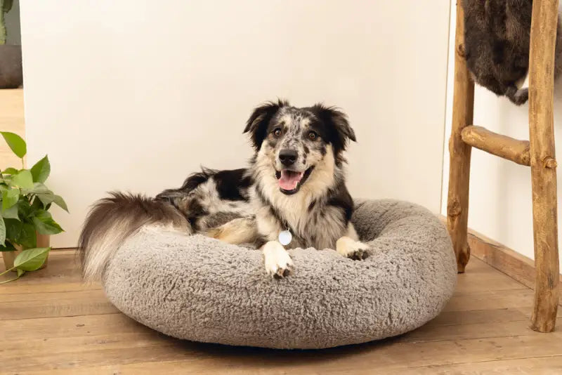 Beeztees Orthopedische Hondenmand Jaxx 70 cm — Grijs