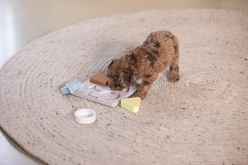 Beeztees Puppy Braingame Lot