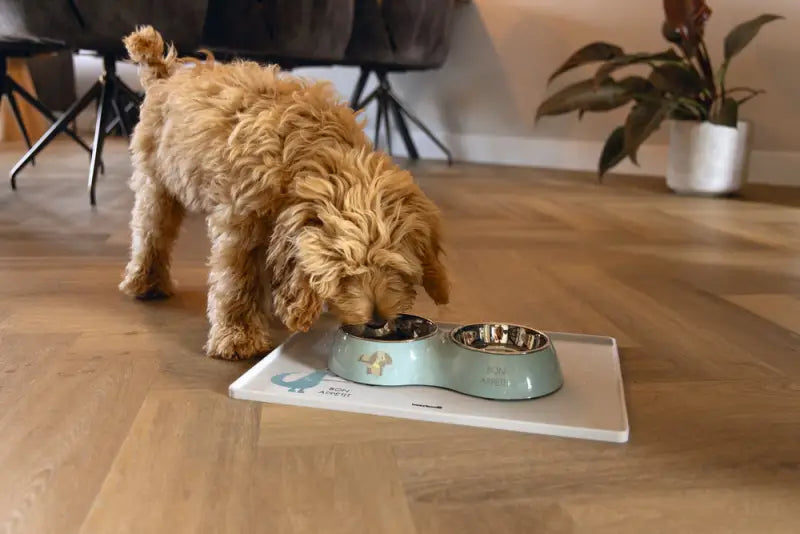 Beeztees Puppy Dinerset Droppy 27x14x4,5 cm — Groen